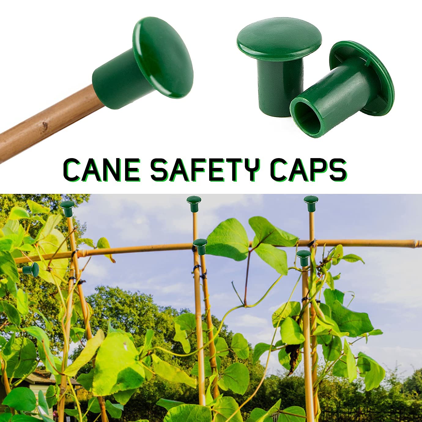 BMP TAPPI Amplia La Gamma Di Prodotti Sostenibili - Foto 7