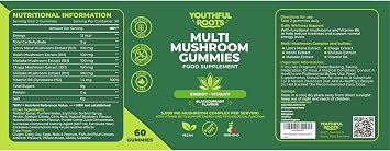 High Strength Mushroom Gummies 5000mg - 6-in-1 Mushroom Complex with Lions Mane Reishi Chaga Maitake & Shiitake + Vitamin B6 - Multi Mushroom Supplement - 2 Pack 120 Gummies
