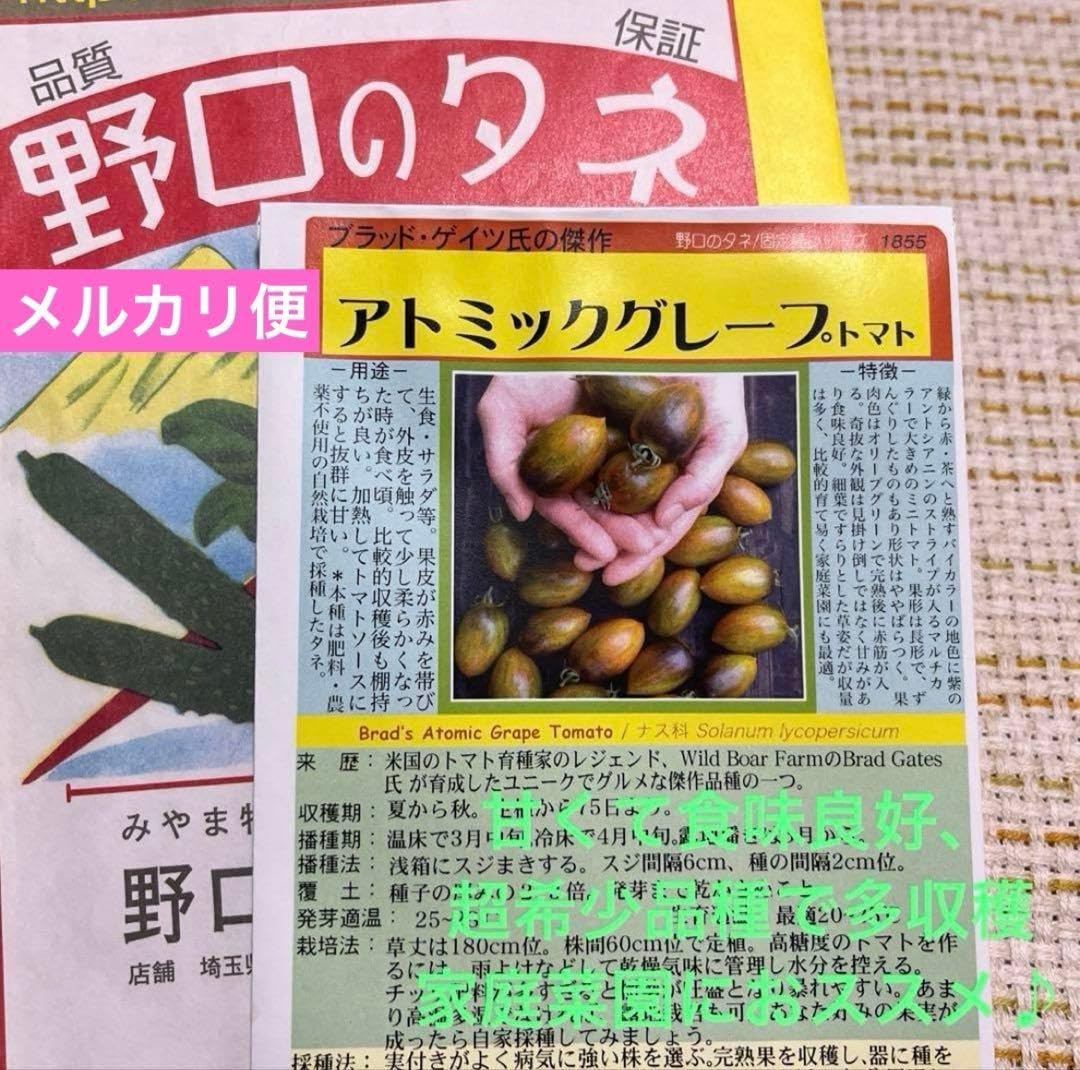 野口のタネアトミックグレープトマトの種 6粒 固定種 自然栽培