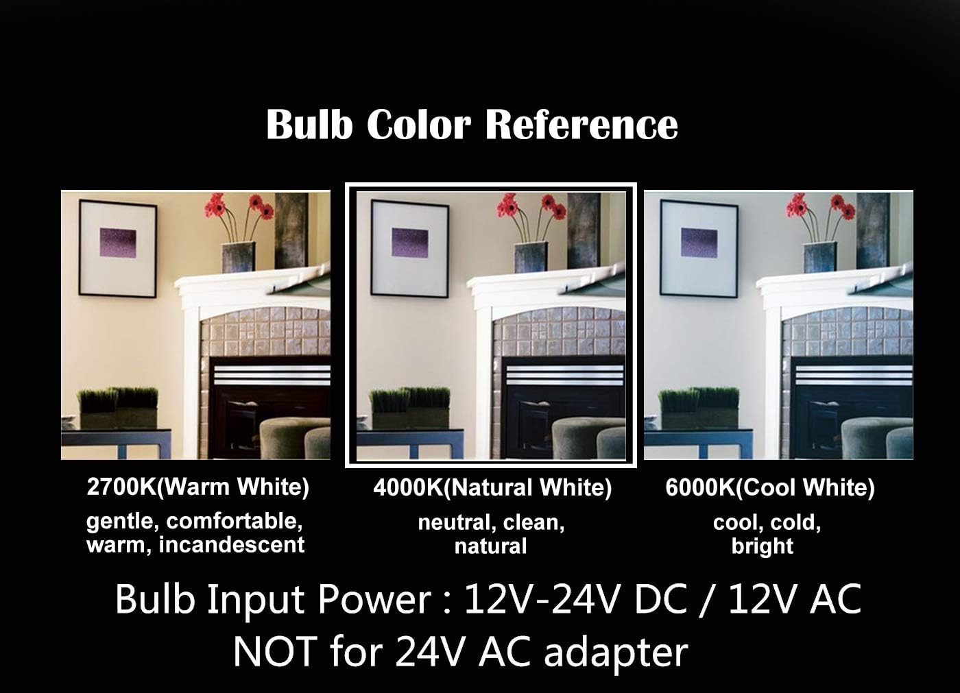 Low Voltage 12V Input Edison Style Classical A60(A19) Bulb, Dimmable with 12V DC Dimmer, 6W 600LM, 4000K Natural White, E26 Medium Base, 60W Incandescent Equivalent, 12V-24V DC Power, 2 Pack