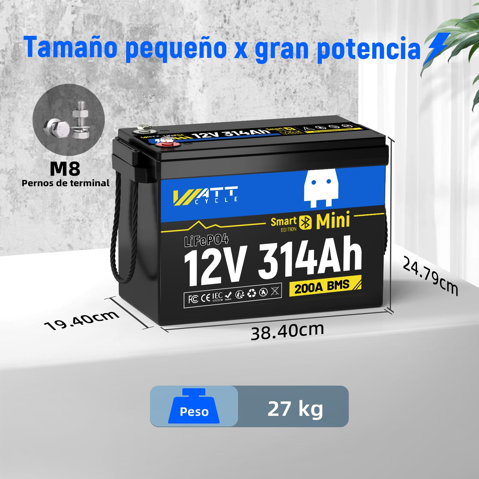 Bateria Lifepo4 12V 314Ah, 12V Batería de Litio 300Ah con Bluetooth | protección baja temperatura BMS de 200 A, 4,01 kWh, batería litio para Caravanas, Barcos y Placas Solares