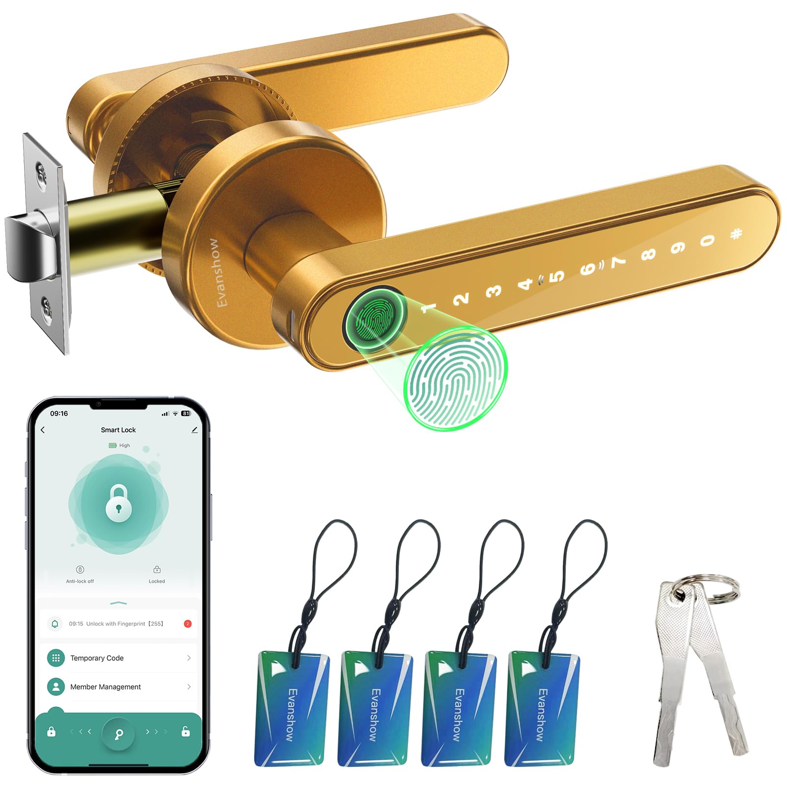 Photo 1 of Evanshow Smart Door Lock with Knob, Keyless Entry, Gold