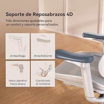 SIHOO Doro C300 Ergonomic Office Chair with Ultra Soft 3D Armrests, Dynamic Lumbar Support for Home Office Chair, Adjustable Backrest for Desk Chair (Grey)