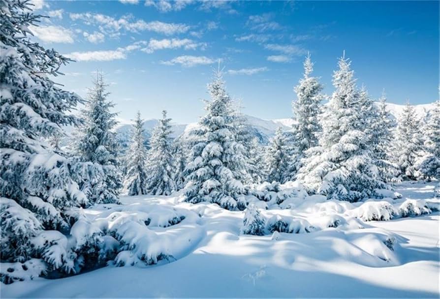 Amazon.com : AOFOTO 10x7ft Snowy Scenery Backdrop Forest