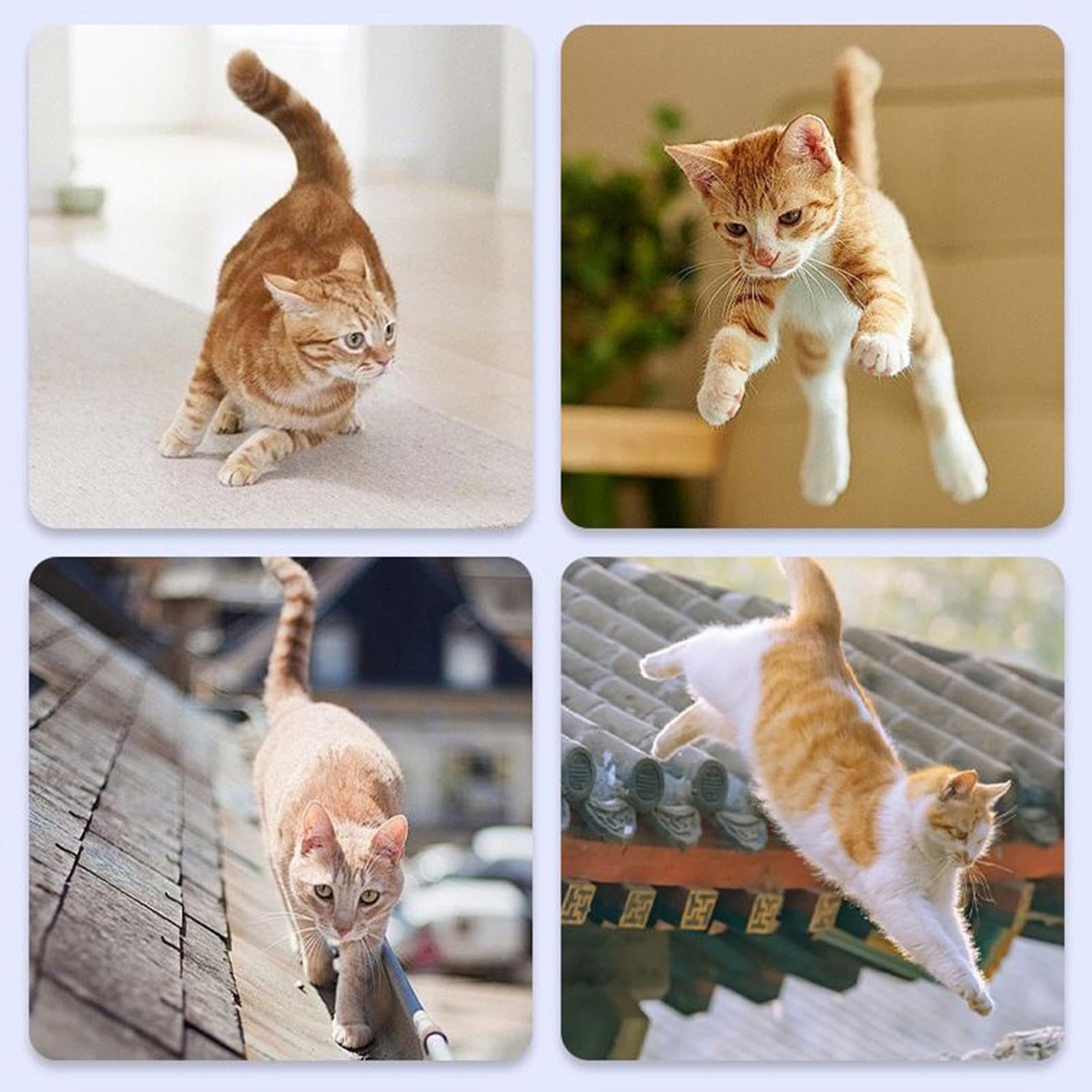 Barriera Per Gatti Per Porta Rete di sicurezza pieghevole | Cancelli di sicurezza retrattili per animali Cucina, Soggiorno, Camera da , Appartamento, Coniglio, Bambini