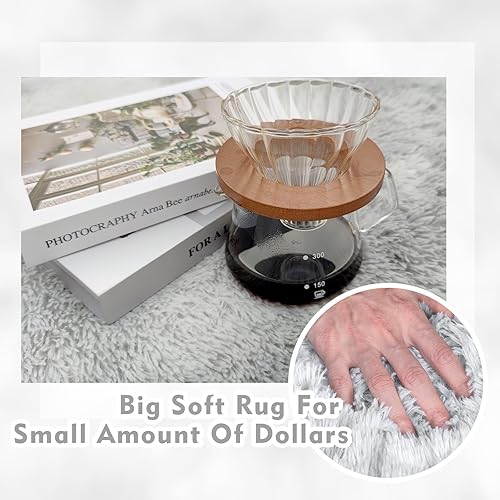 Miniatura 8 de RCZONE Alfombras de área para sala de estar, alfombra supersuave y esponjosa de 4 x 6 pies para dormitorio, teñido anudado gris claro,