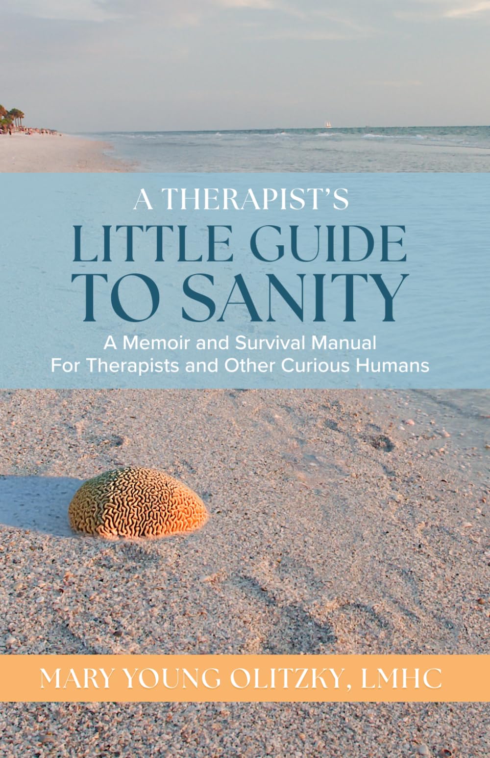 A Therapist's Little Guide to Sanity: A Memoir and Survival Manual for Therapists and Other Curious Humans