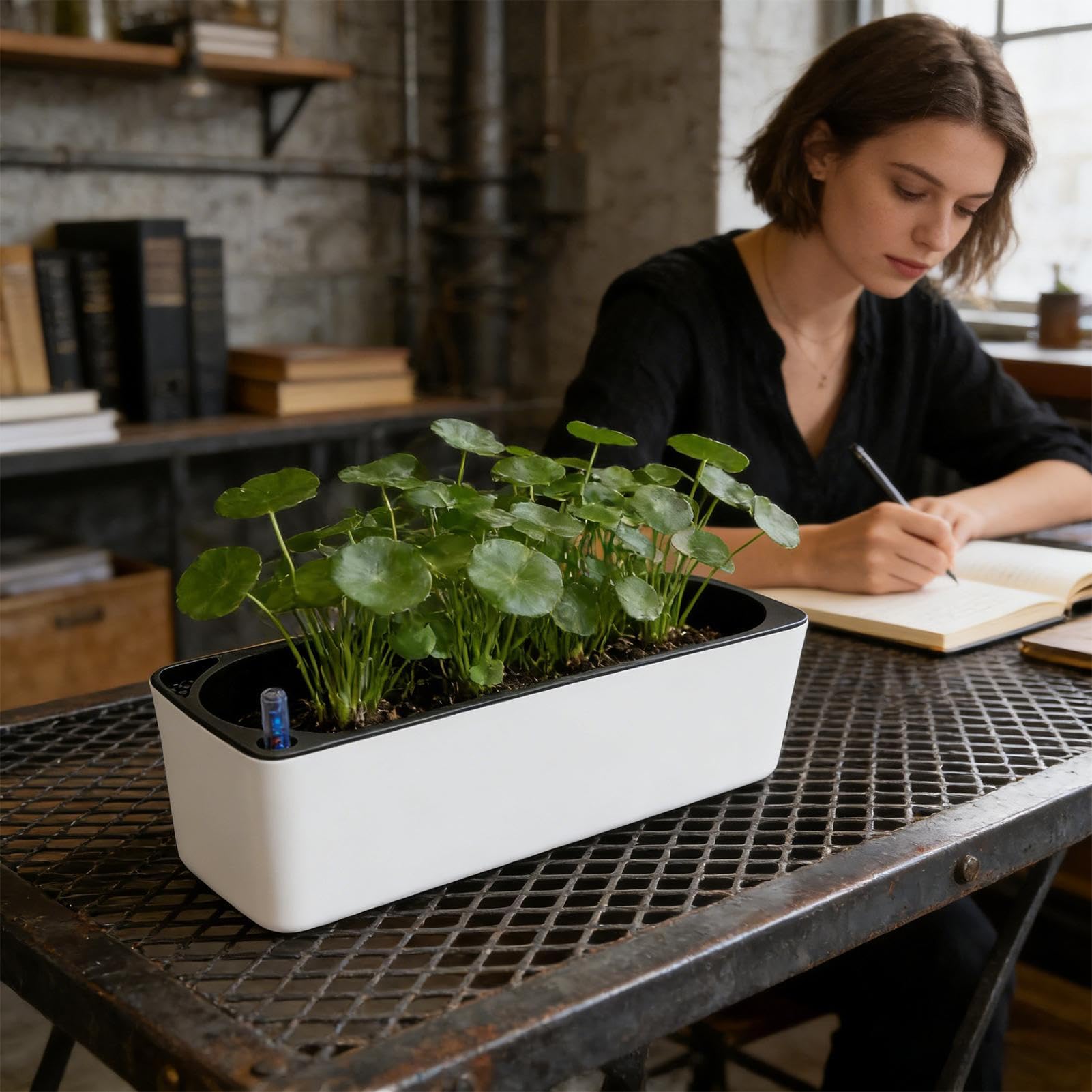 Genérico Tiestos de Orquídeas Maceta Hidropónica Decorativa