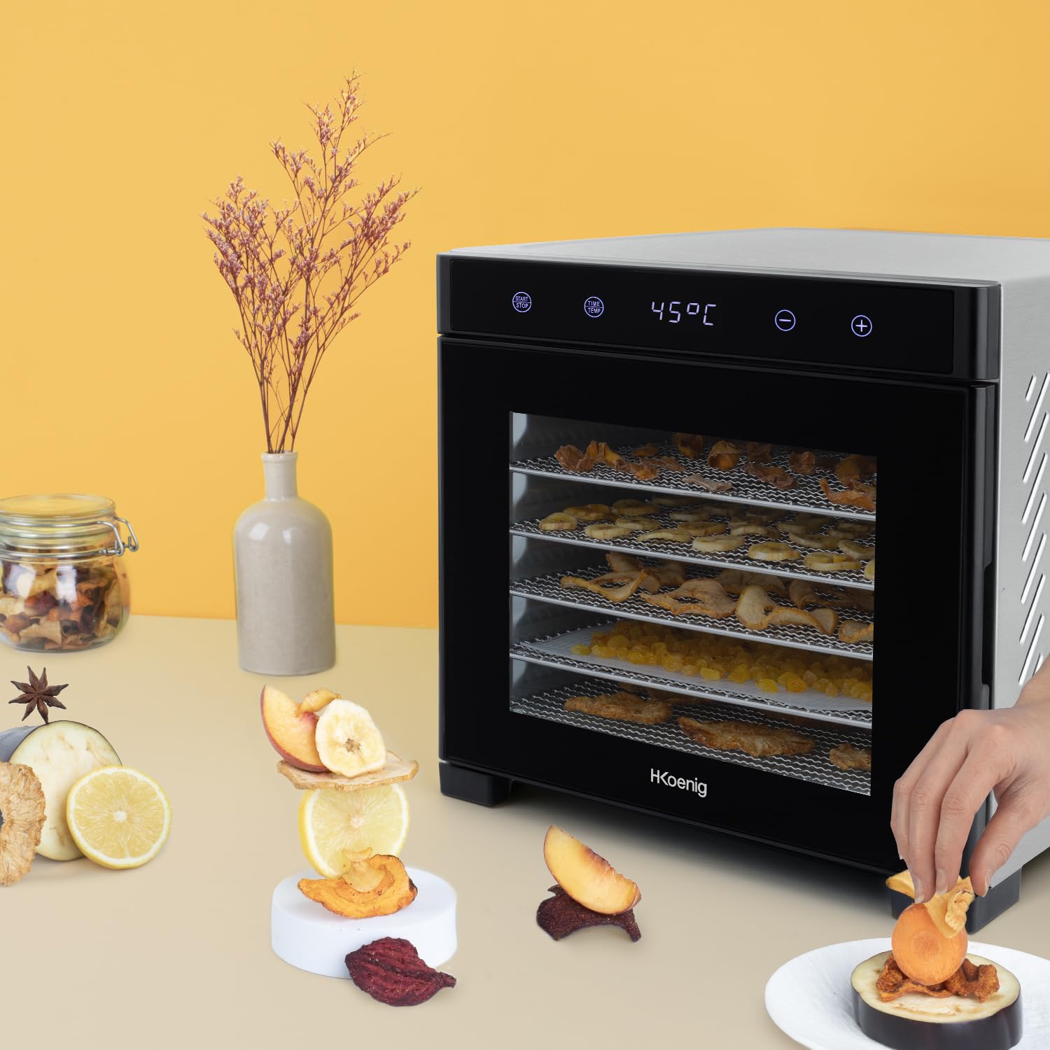 H.Koenig Déshydrateur Alimentaire de nourriture DSY900, pour Fruits, Légumes, Herbes, 6 Plateaux à Séchage amovibles, Thermostat variable de 35° à 75°C, Minuterie jusqu'à 48H, Ecran LCD tactile, 650 W