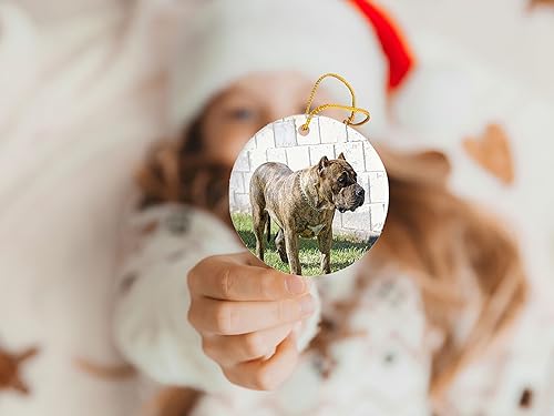 Miniatura 3 de Perro De Presa Canario - Adorno de cerámica – Decoraciones navideñas – Adorno de cerámica circular de 3 pulgadas