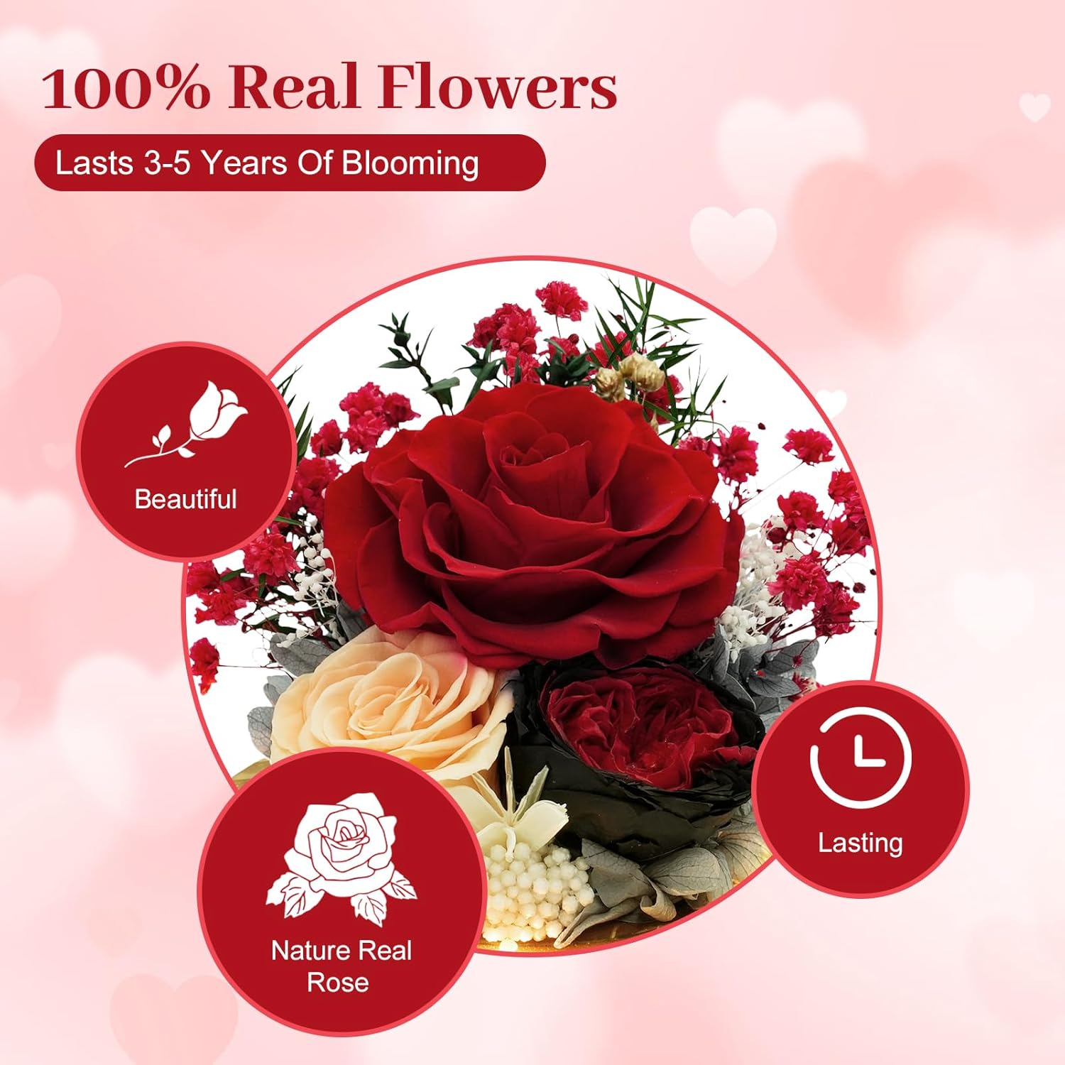 Preserved Flowers Birthday Gifts for Women Preserved Rose in Glass Dome Forever Fresh Flowers for Delivery Prime Red Eternal Rose Gifts for Her Valentines Day Anniversary for Wife Girlfriend - Image 2