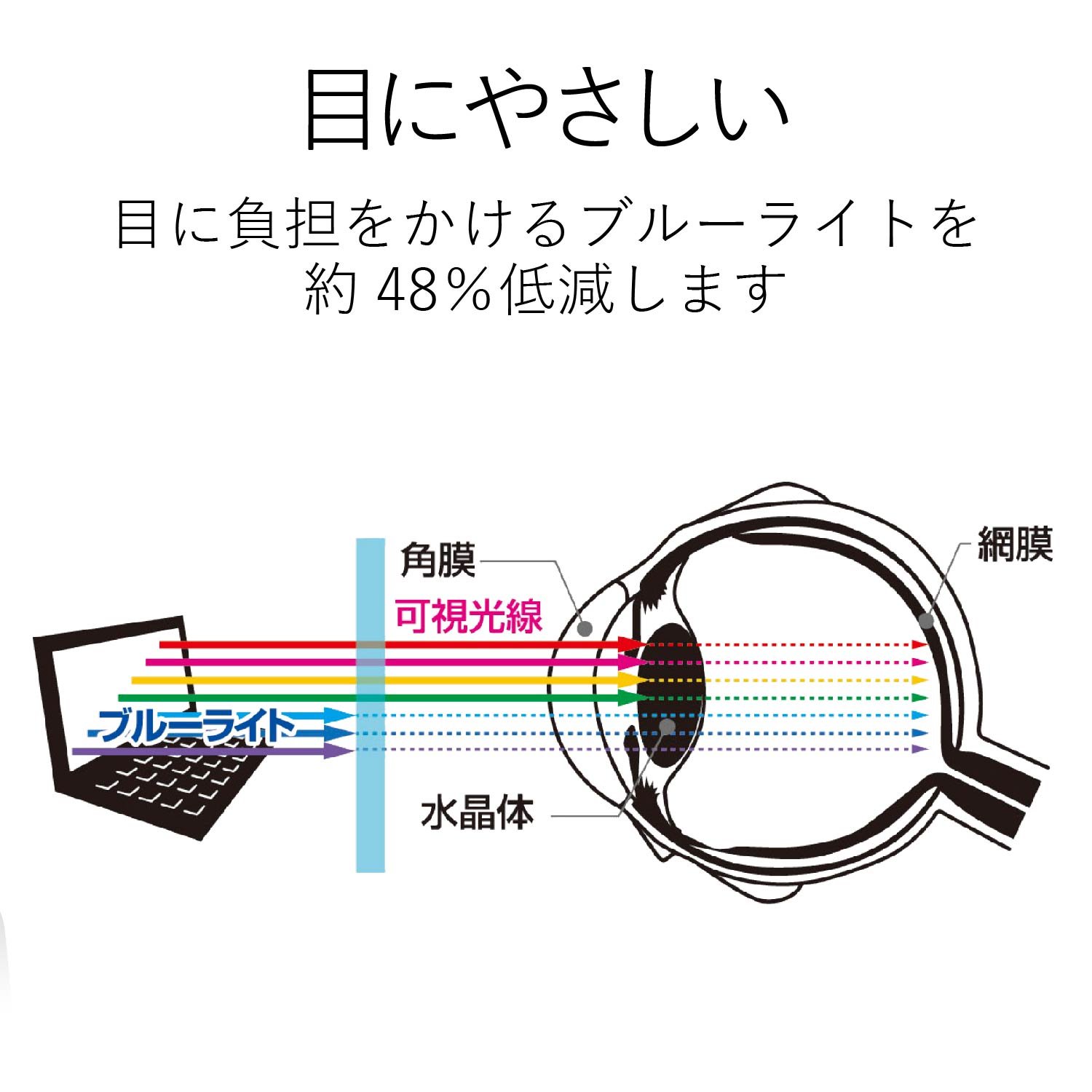 Amazon.co.jp: エレコム 液晶保護フィルター/覗き見防止/12.5