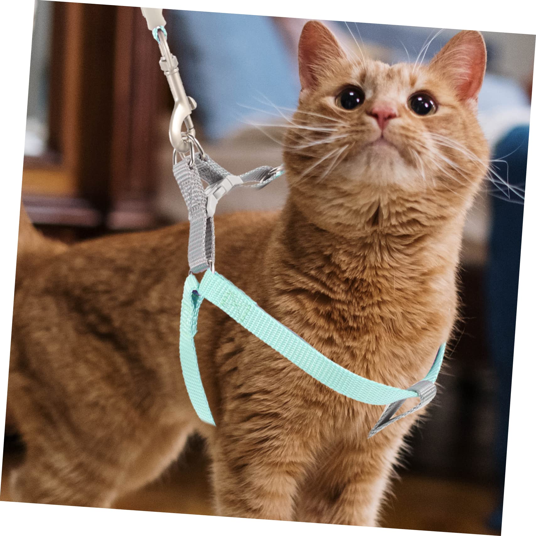 HANABASS 1Set Cat Leash and Harness Set for Small to Cats Soft Material Durable and Comfortable Design for Outdoor Walking and Travel Activities
