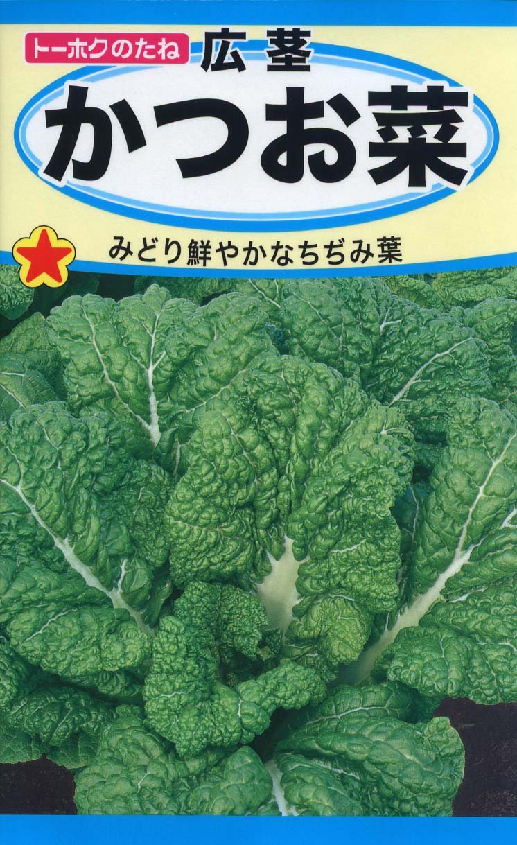Amazon | 株式会社トーホク 広茎かつお菜 05160 | 野菜