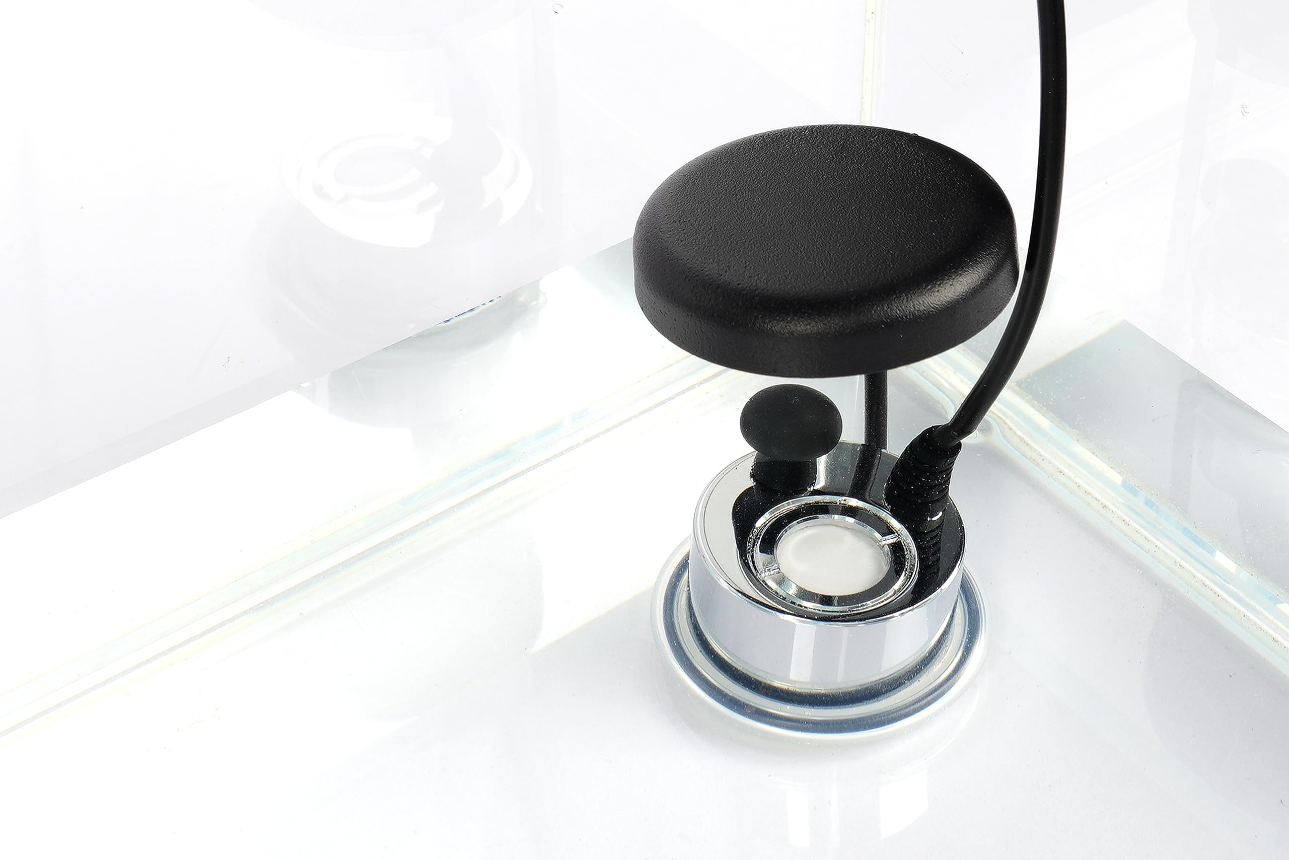 Amazon.co.jp: Landen PLANBRIZ 水槽・テラリウム・パルダリウム用