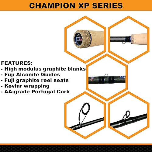 Vista 19 de Dobyns Rods Champion XP Series