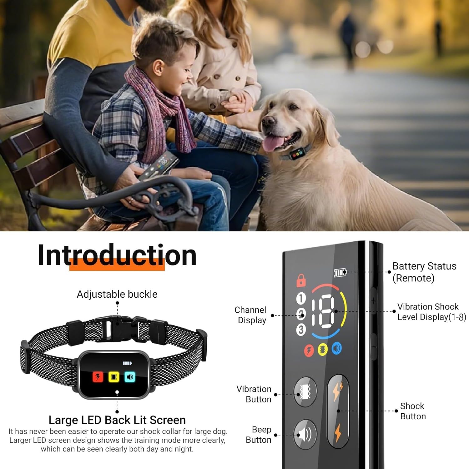 Diagram of collar and remote controls