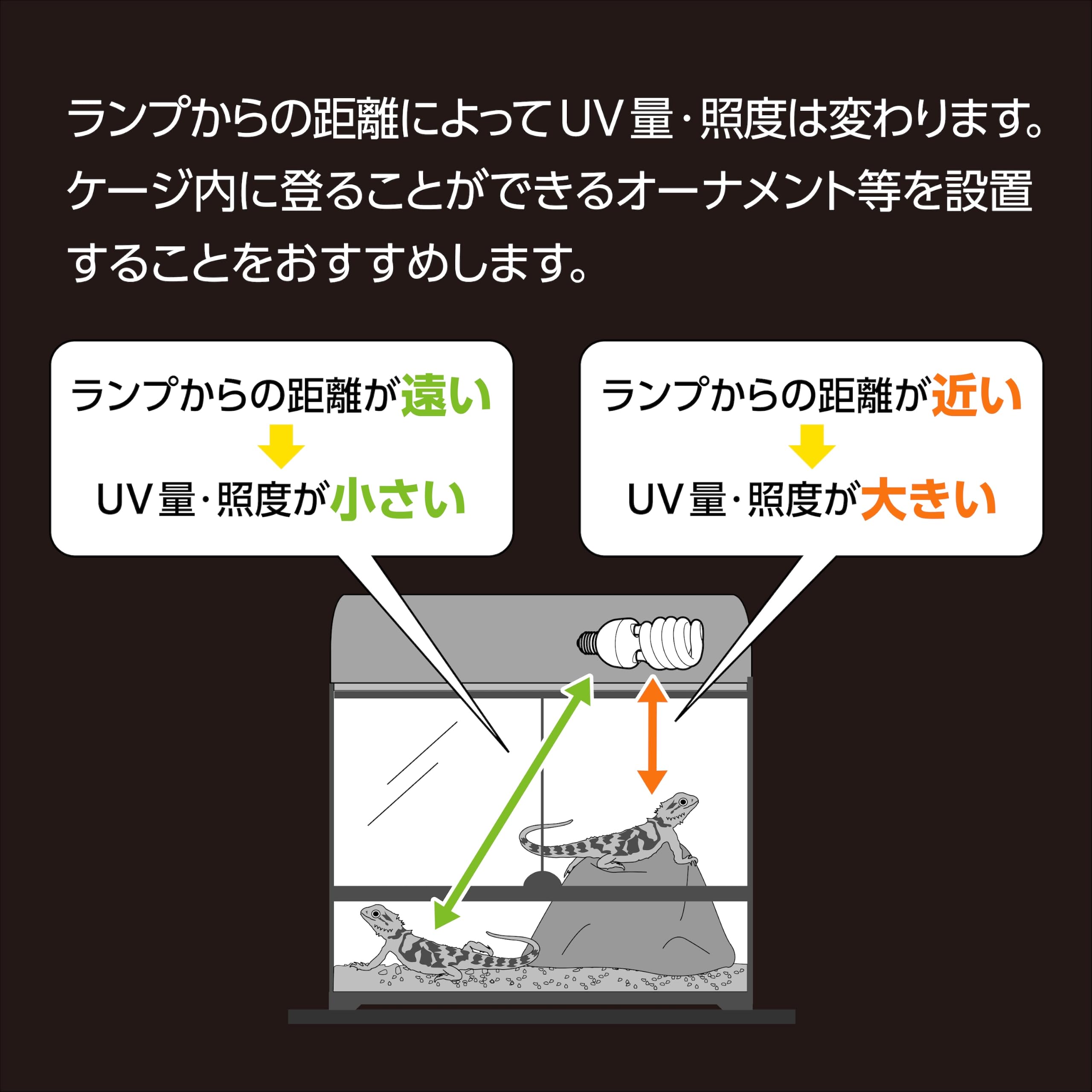 Amazon | エキゾテラ GEX EXOTERRA ナチュラルライト 13W PT2190 可視