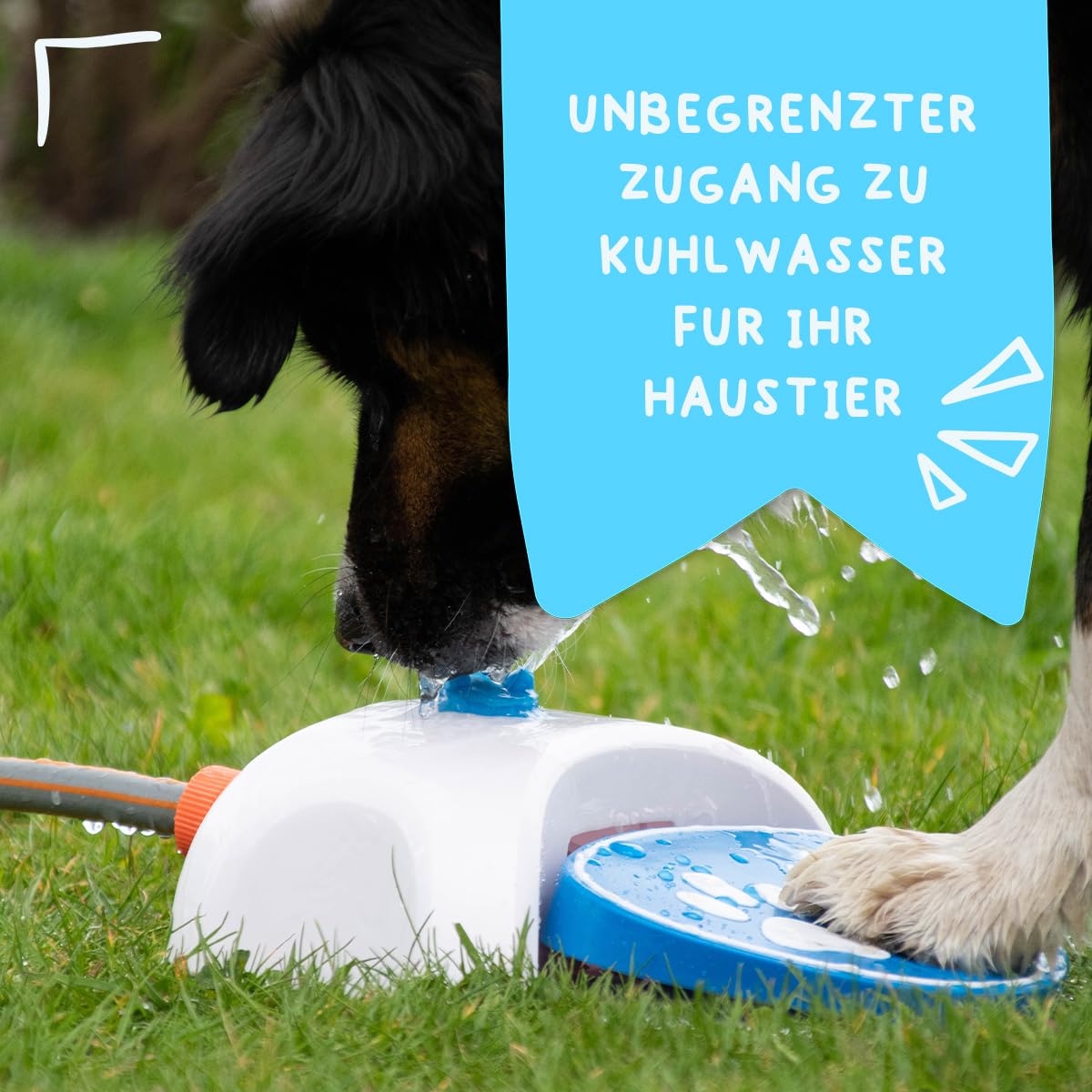 CoolPets Splash Water Fountain 27 x 23 x 9 cm – Trinkbrunnen für Hunde – Gartenschlauch für Hunde – Lieferung mit Zwei Düsen – Kühlung – Blau