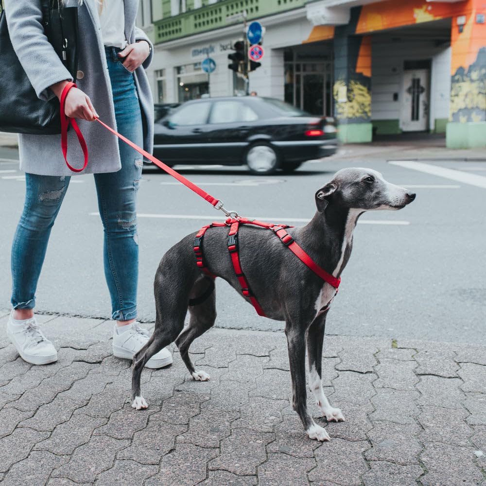 Hunter Vario Rapid - Imbracatura anti-panico per cani in nylon aderente, resistente agli strappi