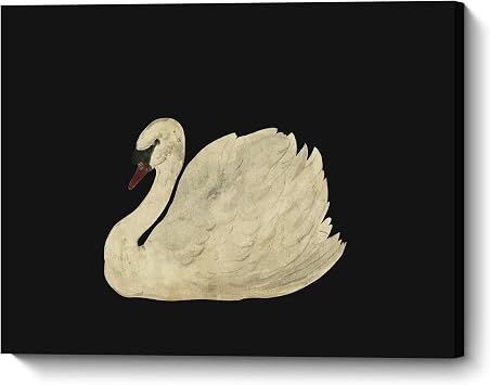 ZNZ Elegant Swan Canvas Wall Art 12x16 Inch Vintage Animal Print on Black Background for Modern or Classic Home Decor