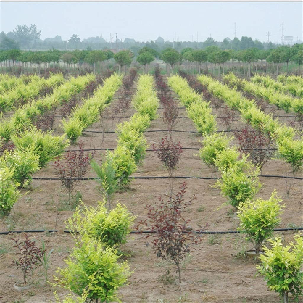 Tubo per irrigazione a goccia, Tubo for irrigazione con nastro gocciolante, 20 m/40 m/80 m, spaziatura 10-30 cm(30cm Space,4 x 20m)