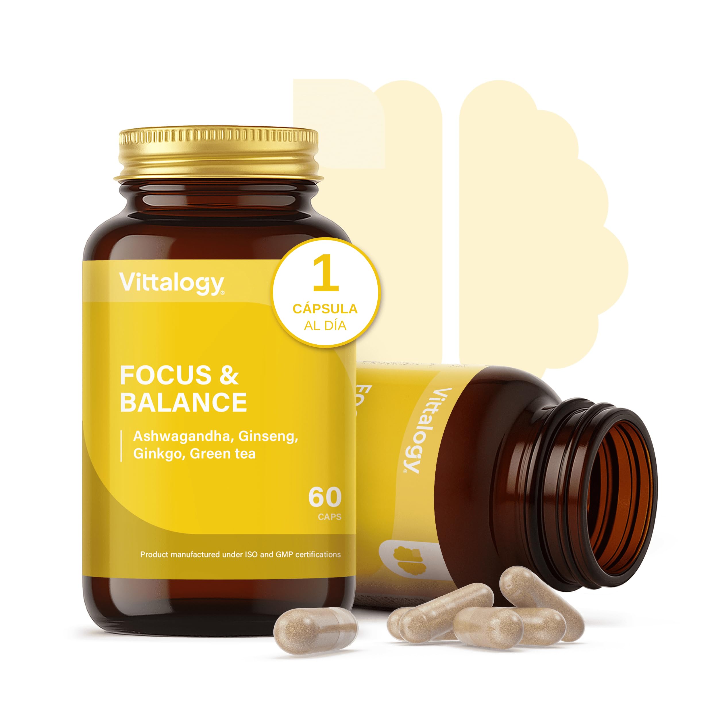 Focus & Balance Complemento Alimenticio Nootrópico con Ashwagandha Sensoril® para Memoria y Concentración. Suplemento de Té Verde, Ginseng y Vitaminas B3, B5 y B1 para Estudiar. 180 Cápsulas