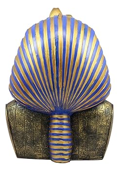 71bslP68AIL._UF350,350_QL80_.jpg