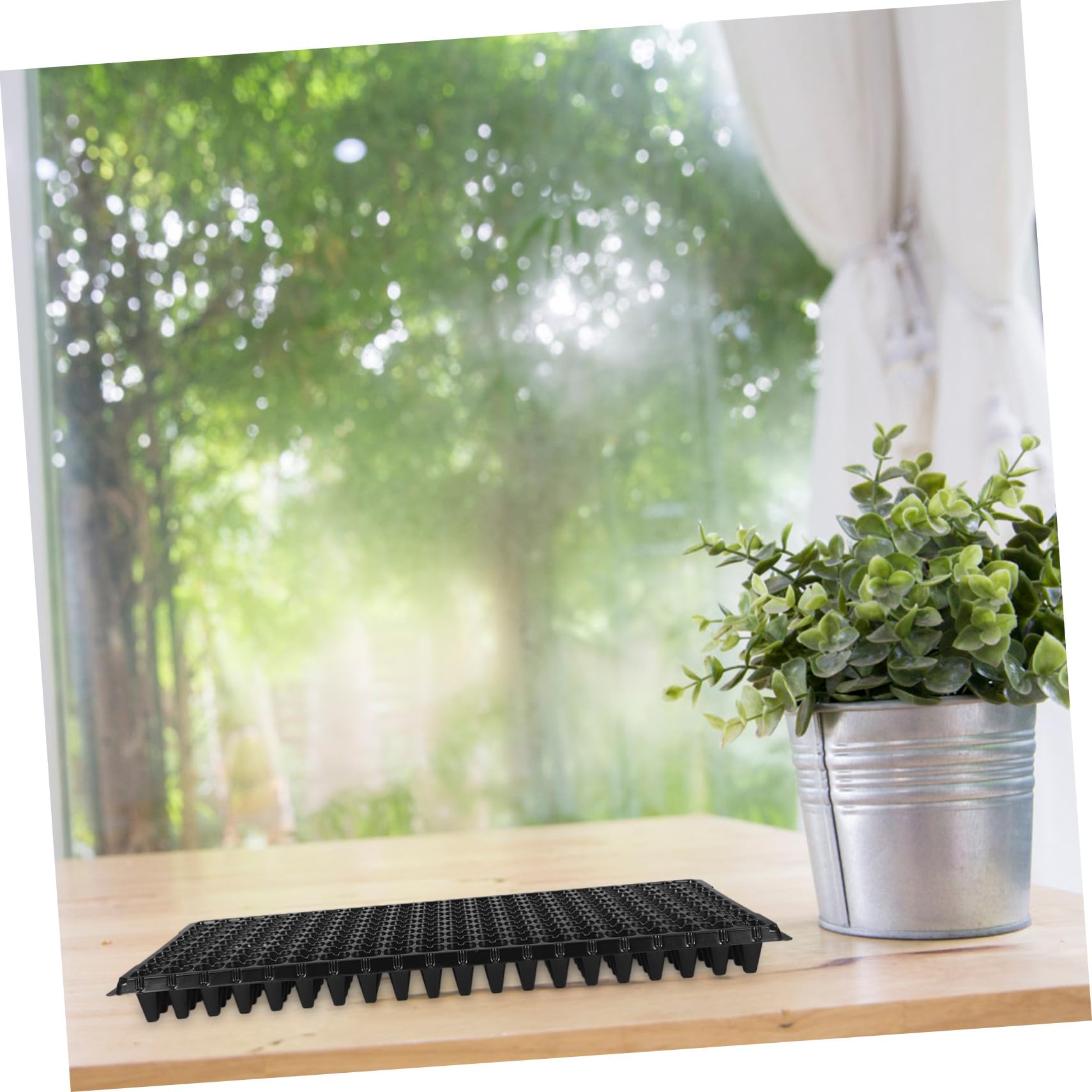Gatuida Plateau de Culture PVC Noir 10 Pièces, 200 Alvéoles pour Semis