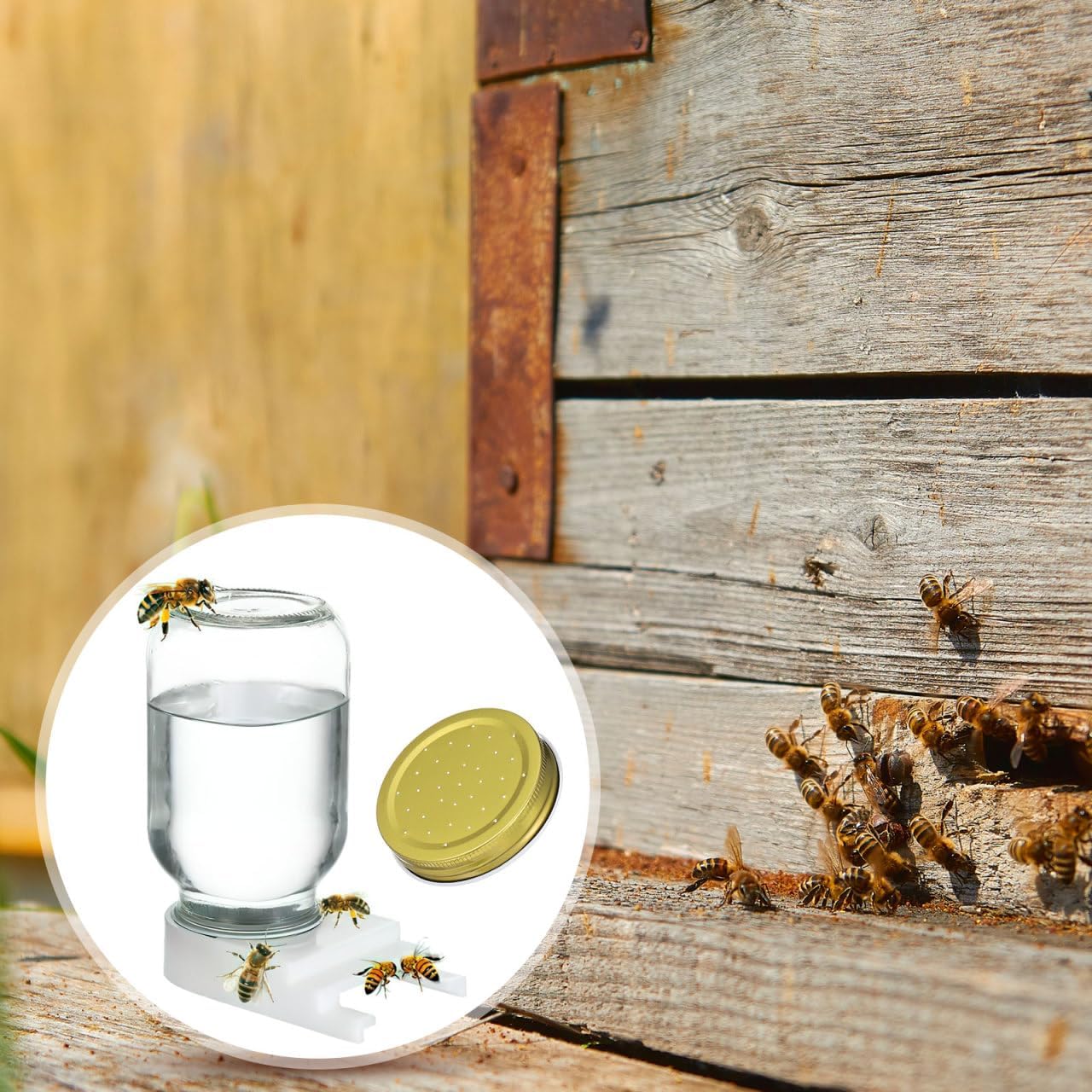 4Pcs Bee Water Feeder Beekeeping Equipment, Metal Beehive Waterer Lid, Easy Installation for Bee Feeding Beekeeping Equipment Tools - Image 8