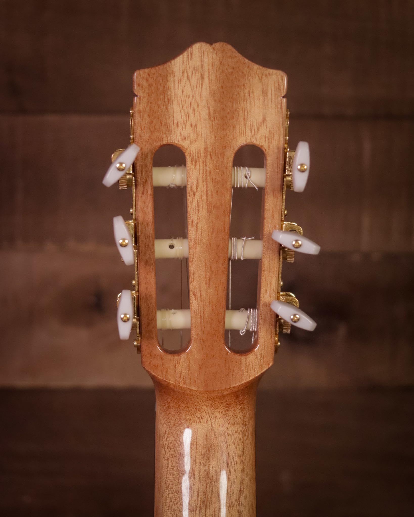 Cordoba dolce acustica 7/8 corde in nylon per chitarra classica, 7/8 Naturale
