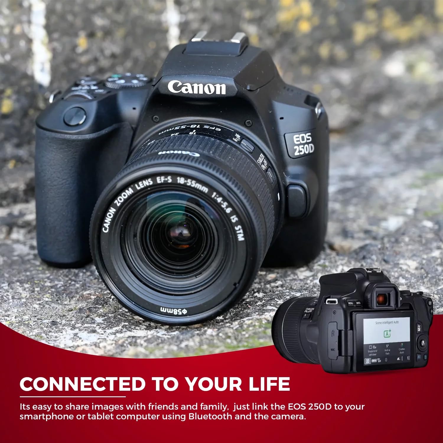 Canon R3 Canon EOS Rebel SL3 DSLR Camera With 18-55mm