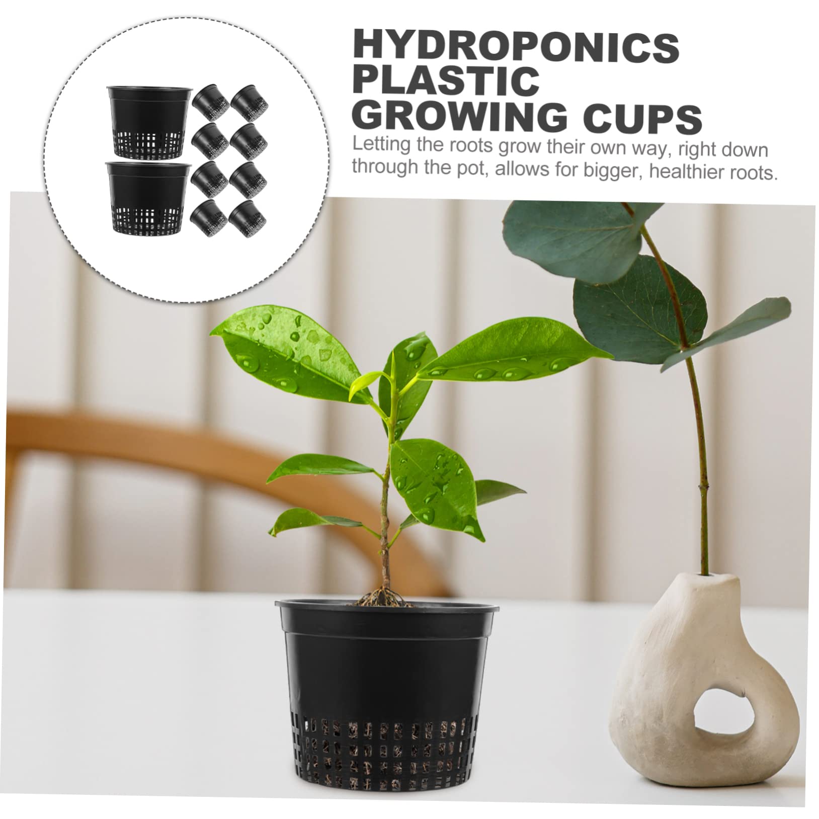 Macetas hidropónicas de plástico para Cultivo hidropónico, 10 Unidades, Redondas, de Malla, para Verduras, Plantas, orquídeas, Cultivo Transpirable, Invernadero, jardín, Acuario, Color