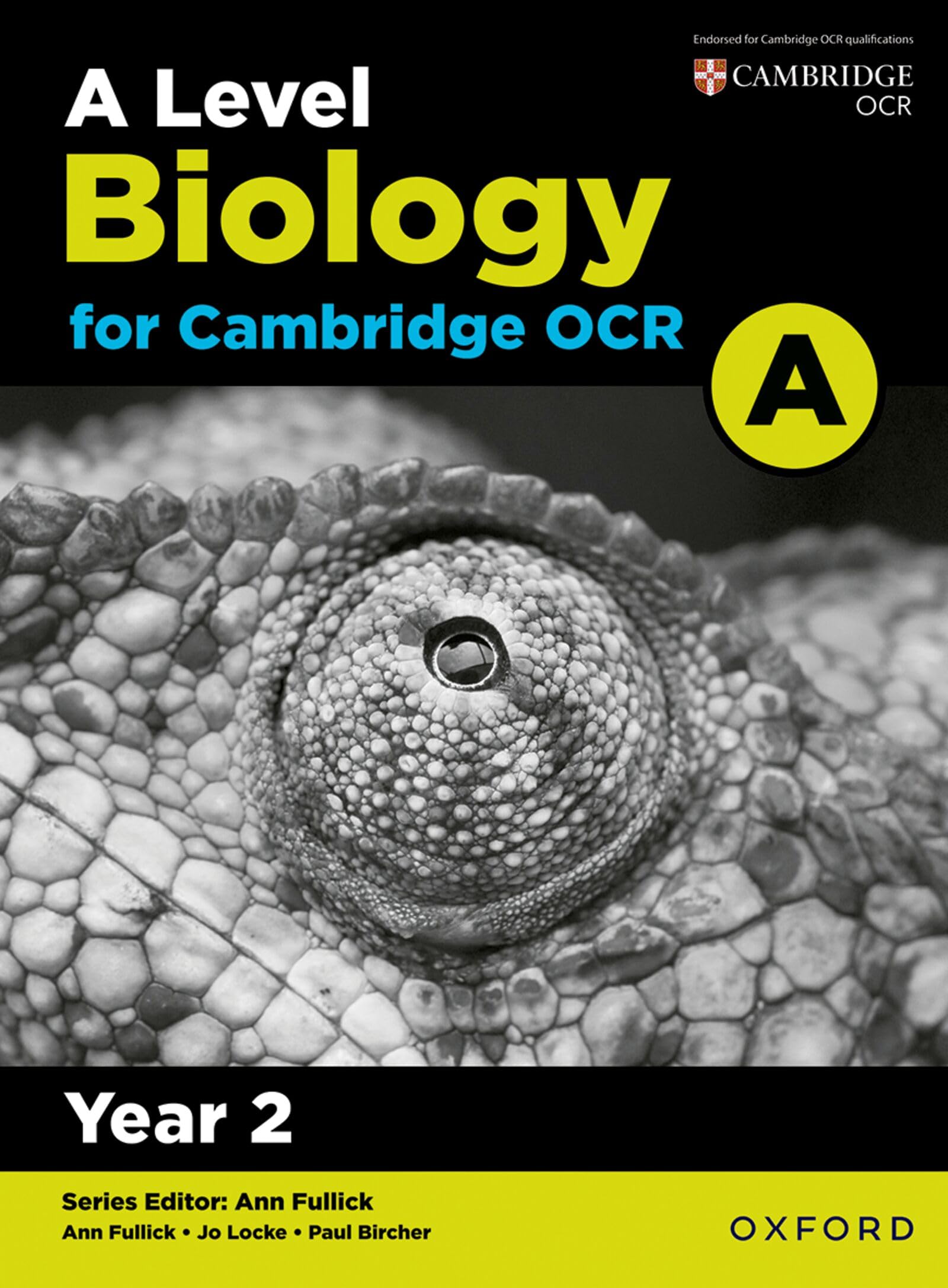 Ann Fullick A Level Biology for OCR A: Year 2 Paperback Book