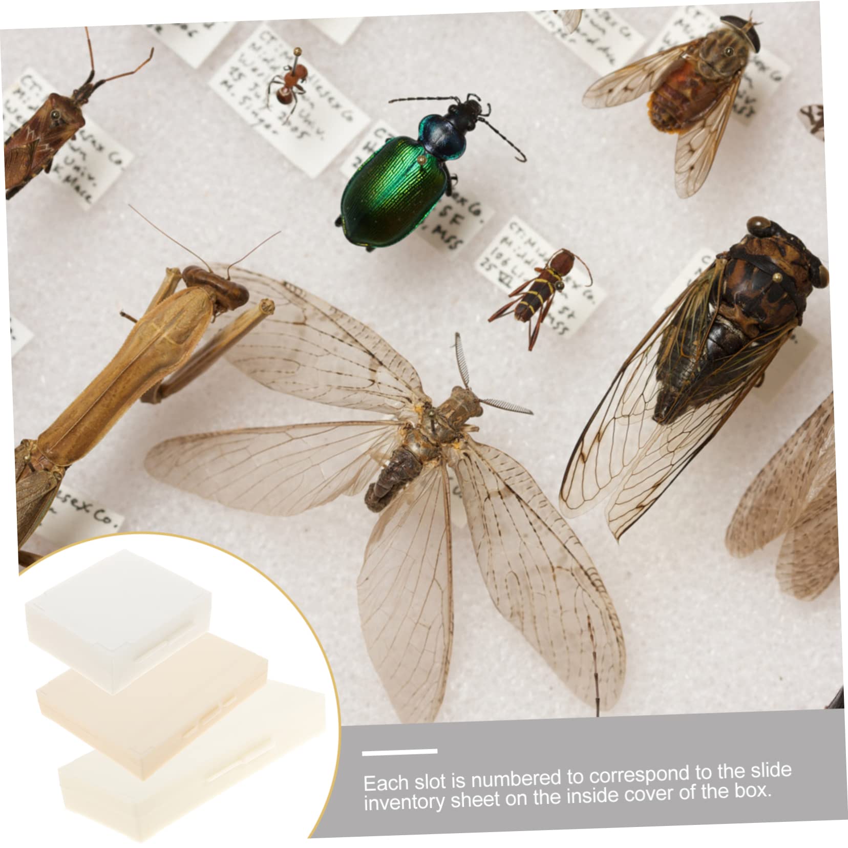 KICHOUSE 3pcs Double Row Slide Cassette Microscope Slide Storage Tool Tray Microscope Slide Container Microscope Slide Plates Microscope Slides Microscope Slide Dispenser Paper White