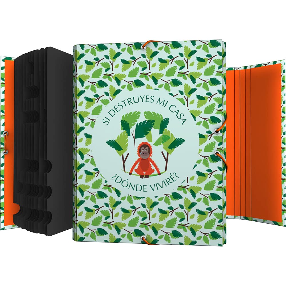 Grafoplás 82212630 Folder, Folio Size, 12 Positions, Cardboard, FSC Certified, Wise Planet Collection, Monkey