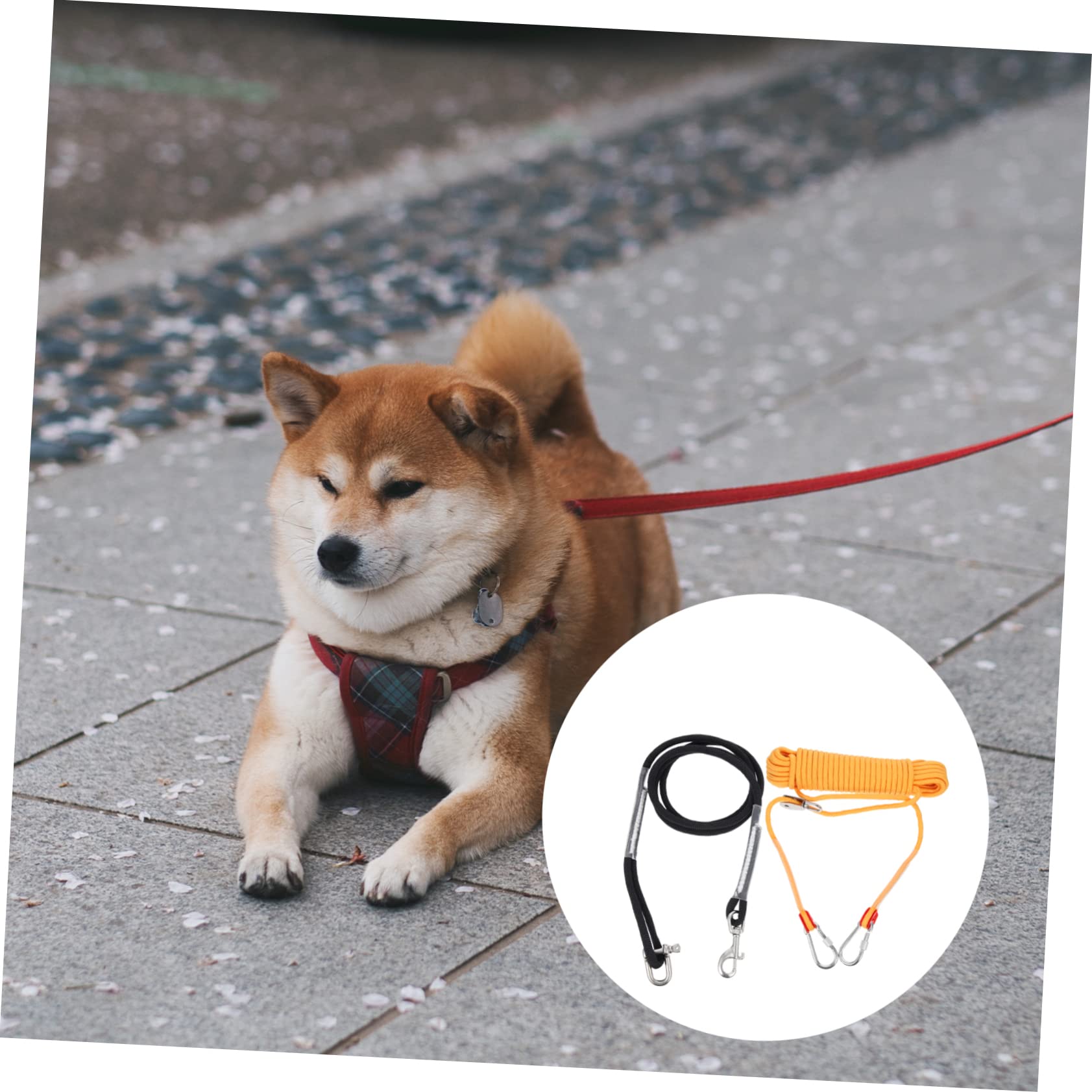 Correa para Perros De Acampada Cable Resistente Corrosión Ligera y Portátil para Mascota