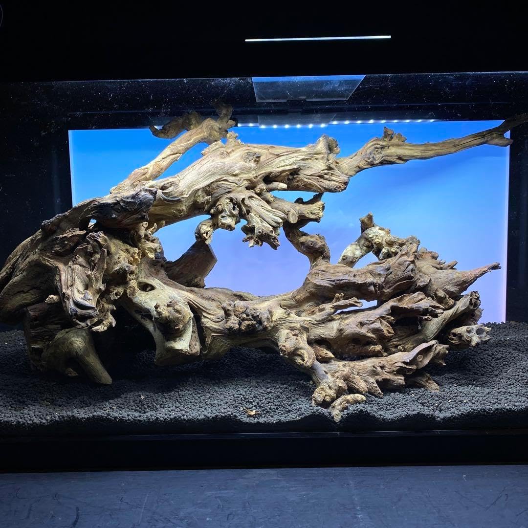 MSW-6439 /90cm水槽用天然流木　2本セット　枝流木　アクアリウム MSW-6439 90cm水槽用天然流木 2本セット 枝流木 アクアリウム 水槽用流木