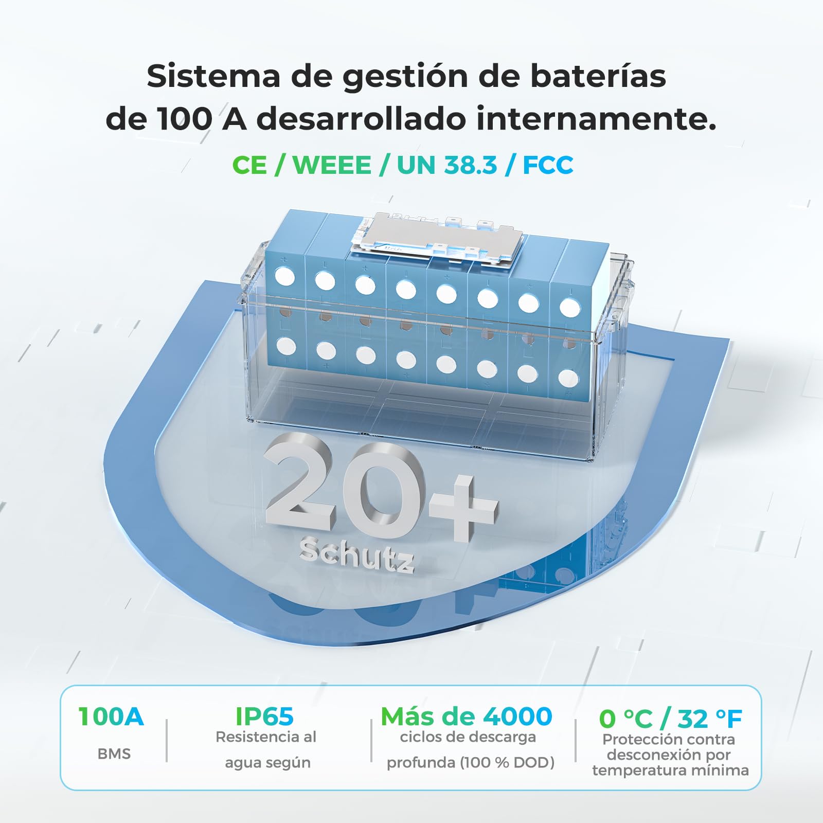 Dyness Batería Litio 24V 100Ah LiFePO4 con BMS 100A Protección Bajas Temperatura para Camper Solar