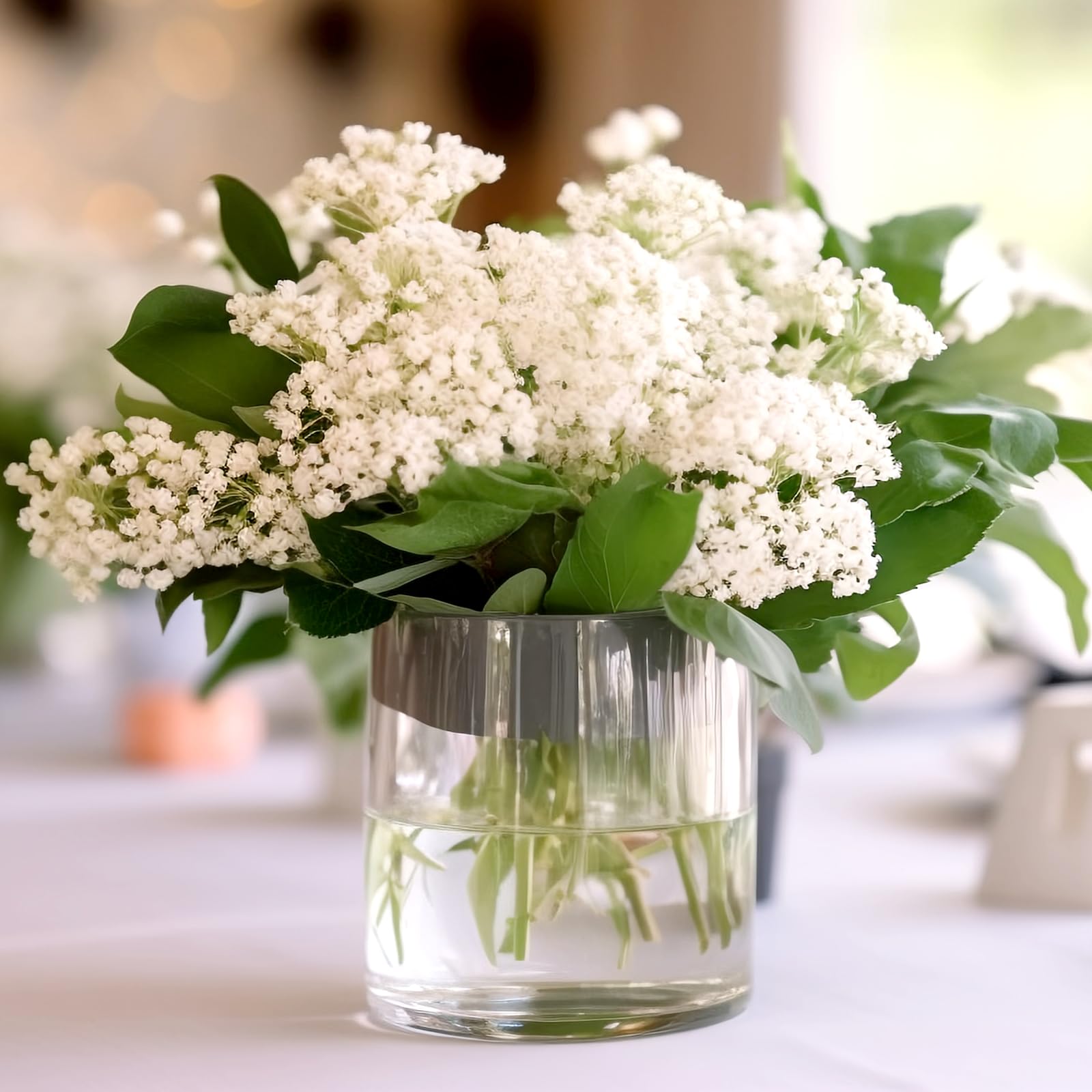 APACALI 2 pezzi vaso cilindrico in vetro, 15 cm di altezza, vaso cilindrico per fiori, vaso in vetro trasparente rotondo, vaso in vetro chiaro, vaso per fiori in vetro per orchidee, rose, tulipani