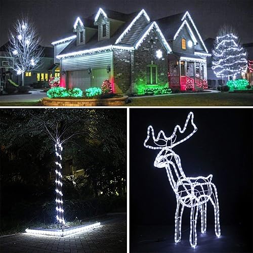 Miniatura 6 de Cuerda de luces LED de 33 pies32.8ft, 360 LED, blanco frío, impermeable, tubo de luz transparente para interiores y exteriores, enchufe de 110 V,