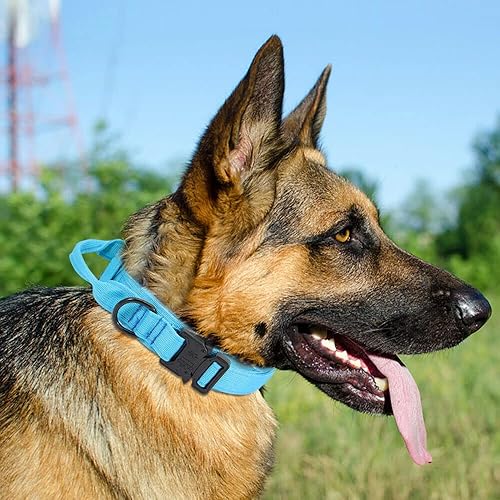 Miniatura 19 de Collar táctico militar personalizado para perro con asa, etiquetas de nombre de mascotas personalizadas para perros medianos y grandes para Negro