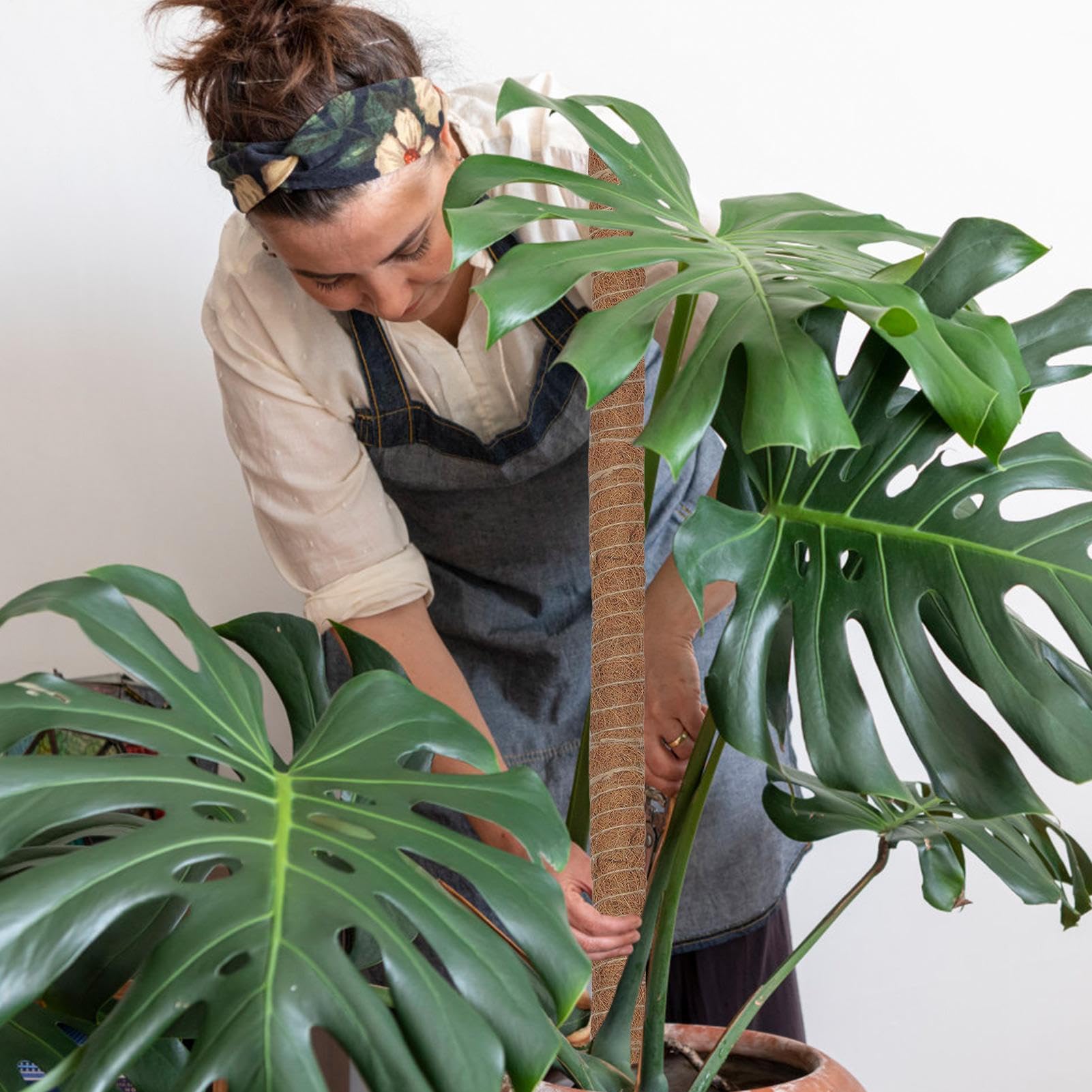 Tuteur en Mousse pour Monstera 4 Pièces de 41 cm Pliable et Réutilisable