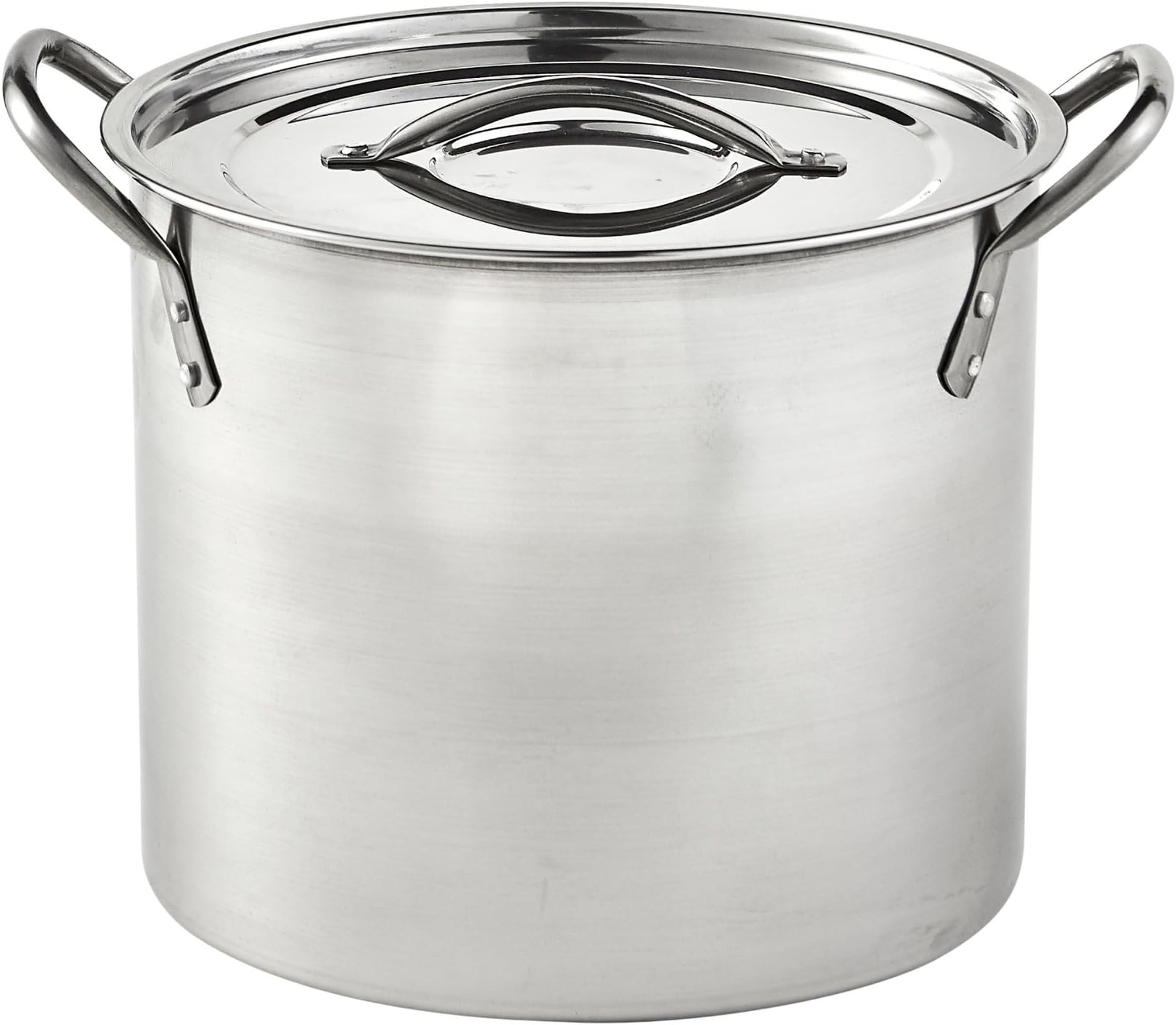 IMUSA USA 12 Quart Stainless Steel Stock Pot with Lid