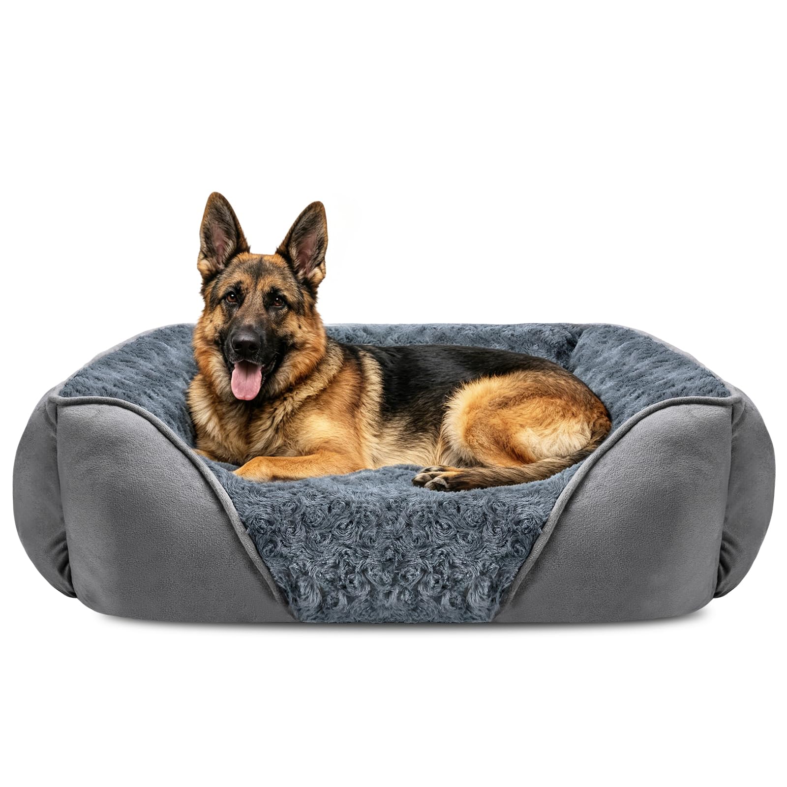 hundefutter pferdefleisch Gekochtes Pferdefleisch mit Gemse/Obst
