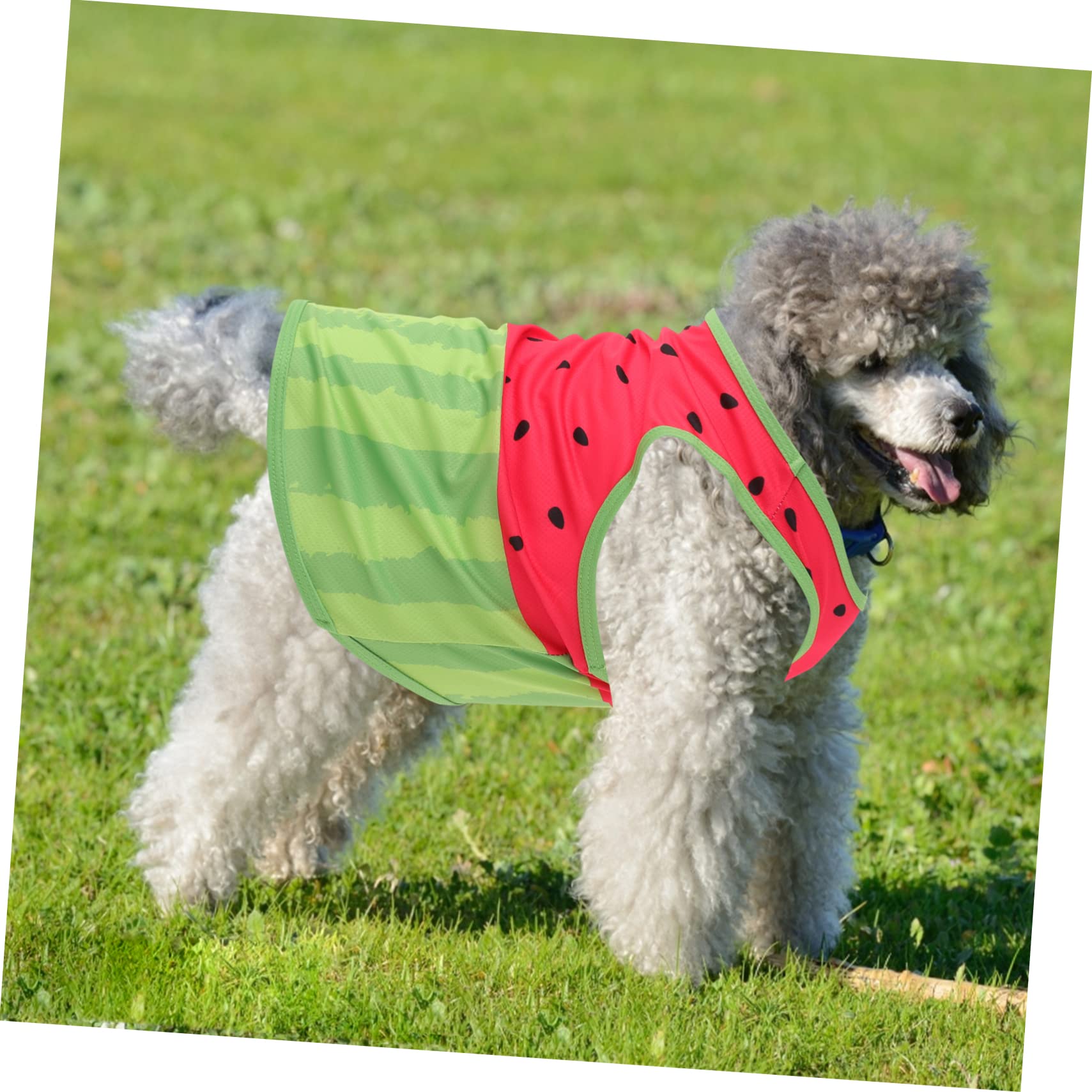 Gilet Rafraîchissant pour Chien Pastèque, Soie, Tailles L XL, D'été