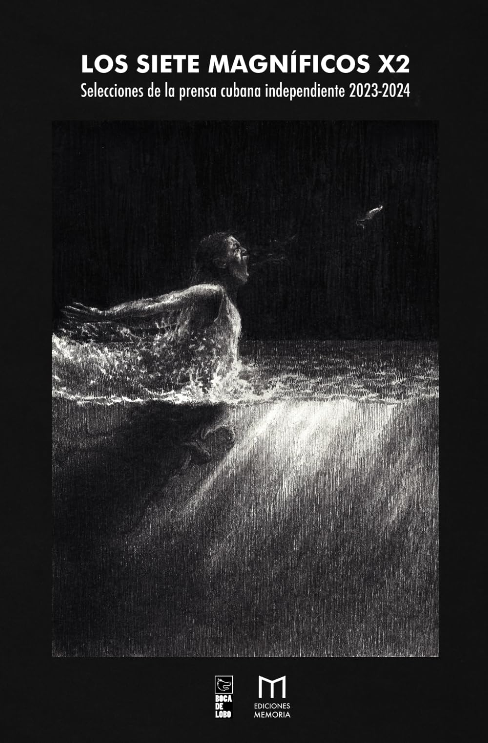 Los siete magníficos x2: Selecciones de la prensa cubana independiente 2023-2024 (Spanish Edition)