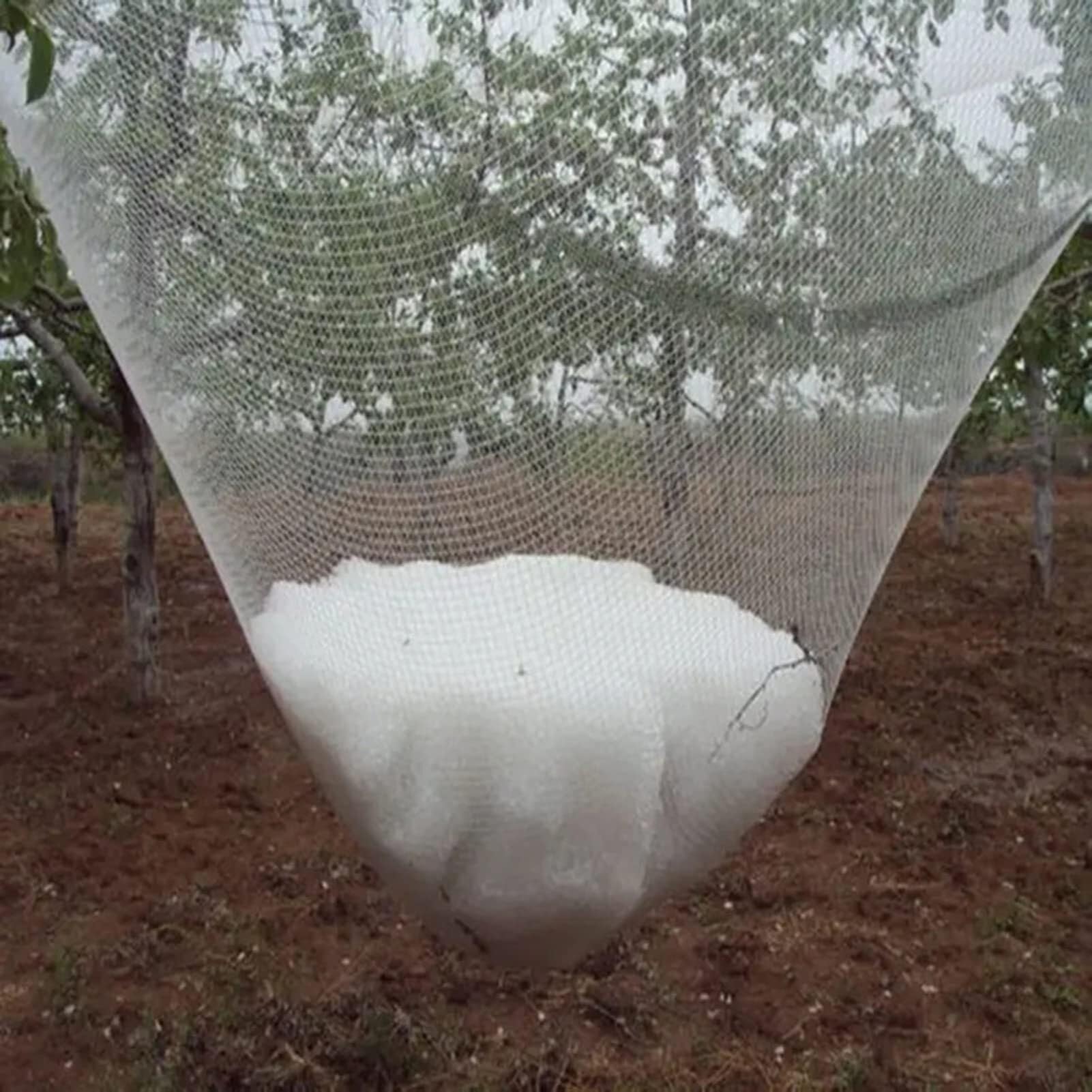 Rete antigrandine da giardino, bianca, per protezione di frutta e verdura, copertura riutilizzabile per laghetti, 6 x 10 m e 12 x 5 m