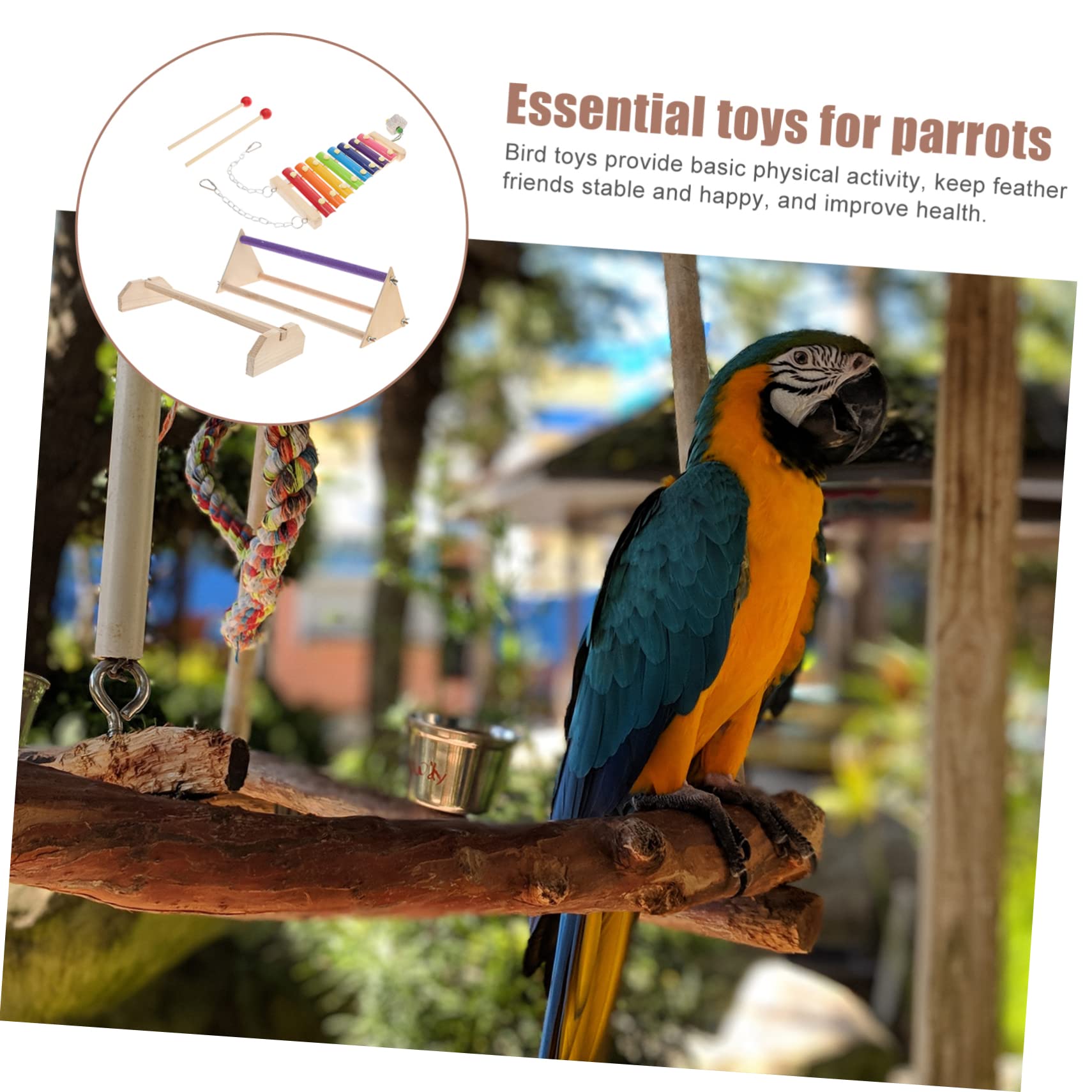1set Accessori Per Kit Perch e Xilofono Per Galline e Domestici Per e Attività Pappagalli