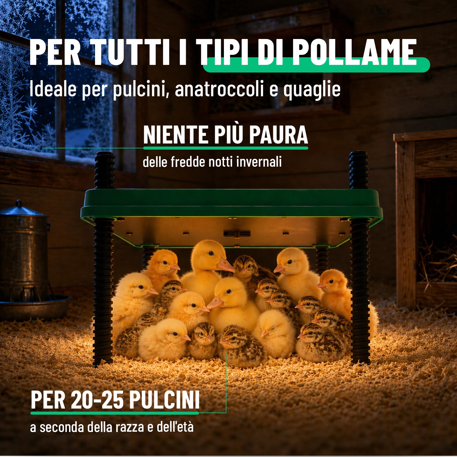 greate Piastra Riscaldante per Pulcini 80 W regolabile 10-70 °C con display LED - Chioccia Artificiale per Pulcini altezza regolabile 30 x 30 cm